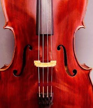 Violonchelo Stentor Student I
