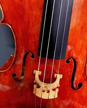 Violonchelo NZ Classe