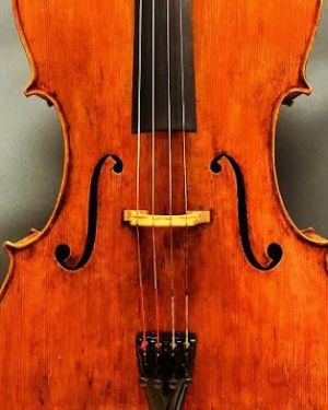 Violonchelo NZ Orquestra