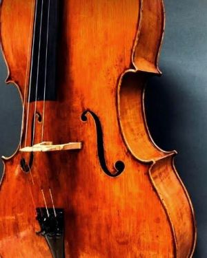 Violonchelo NZ Solista