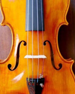 Violín NZ Solista