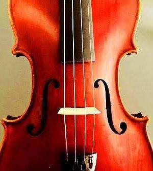 Viola Corina Duetto