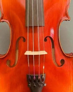 Viola NZ Classe